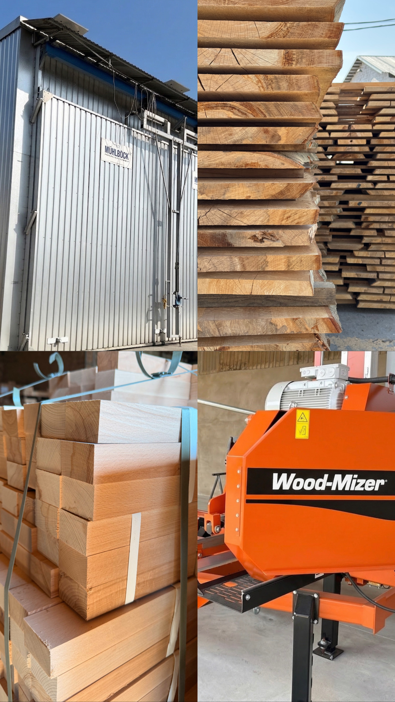 Виробництво BukExpo — сушильна камера Mühlböck, пилорама Wood-Mizer, букові заготовки